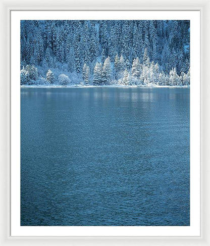 33" x 40" / White / White