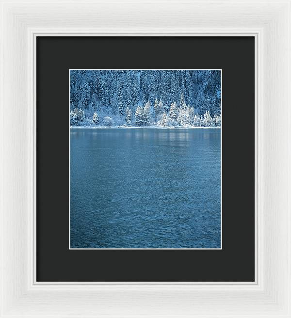 Emerald Bay Frozen Trees by Brad Scott - Framed Print
