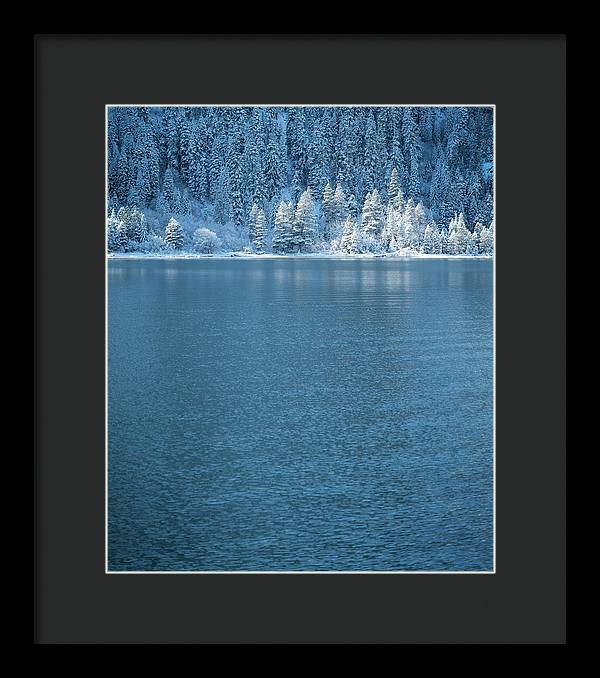 Emerald Bay Frozen Trees by Brad Scott - Framed Print