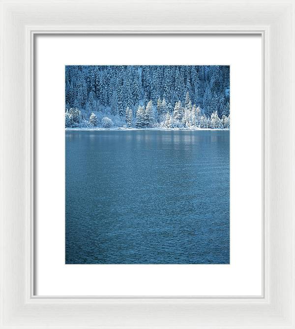 Emerald Bay Frozen Trees by Brad Scott - Framed Print