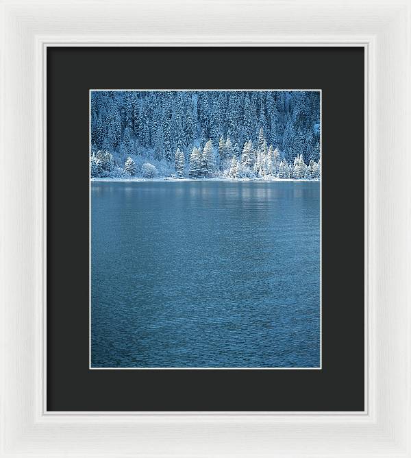 Emerald Bay Frozen Trees by Brad Scott - Framed Print