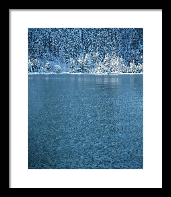 11.5" x 14" / Black / White