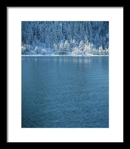 11.5" x 14" / Black / White