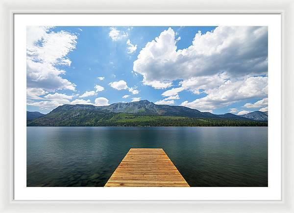 36" x 24" / White / White