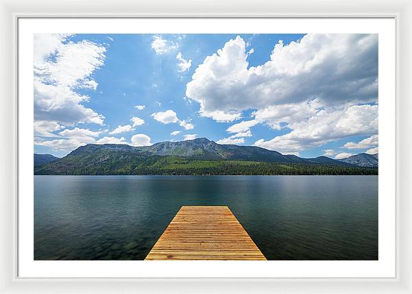 40" x 26.5" / White / White