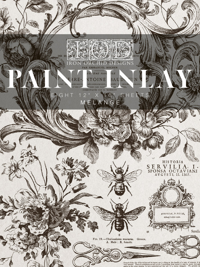 IOD Melange 12x16 Paint Inlay