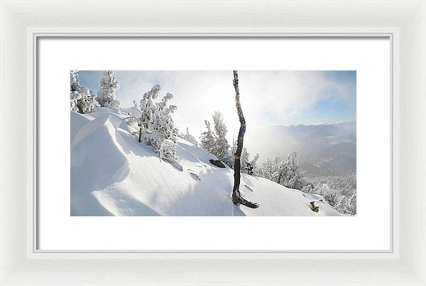 16.000" x 8.250" / White / White