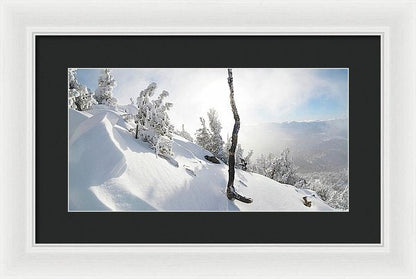 16.000" x 8.250" / White / Black