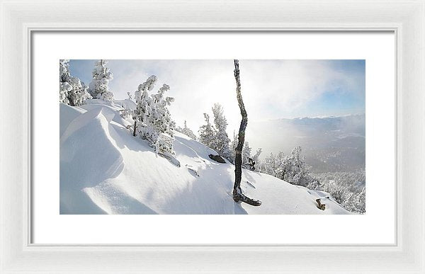 20.000" x 10.250" / White / White