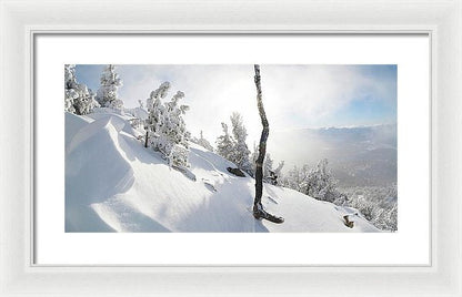 20.000" x 10.250" / White / White