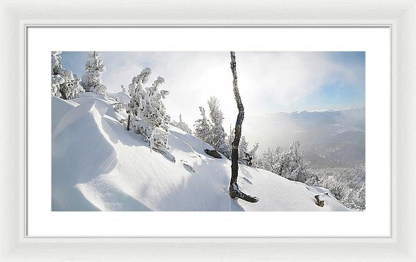 24.000" x 12.375" / White / White