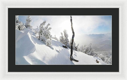 24.000" x 12.375" / White / Black