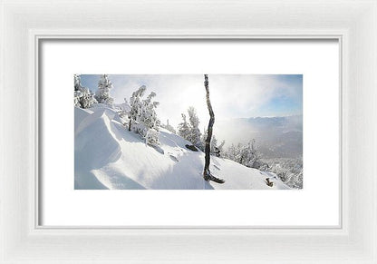 Lightning Tree By Brad Scott - Framed Print