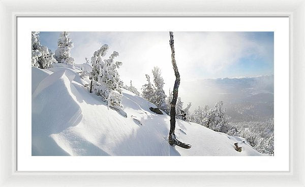 30.000" x 15.500" / White / White