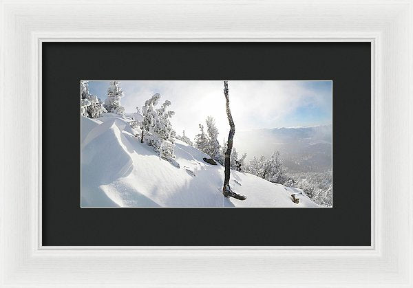 Lightning Tree By Brad Scott - Framed Print