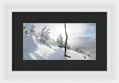Lightning Tree By Brad Scott - Framed Print
