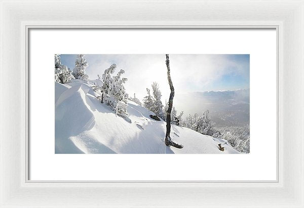 Lightning Tree By Brad Scott - Framed Print