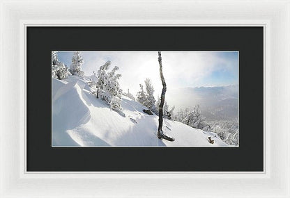 Lightning Tree By Brad Scott - Framed Print