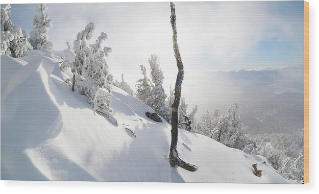 Lightning Tree By Brad Scott - Wood Print