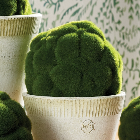 Mood Moss Orb, 3 Sizes