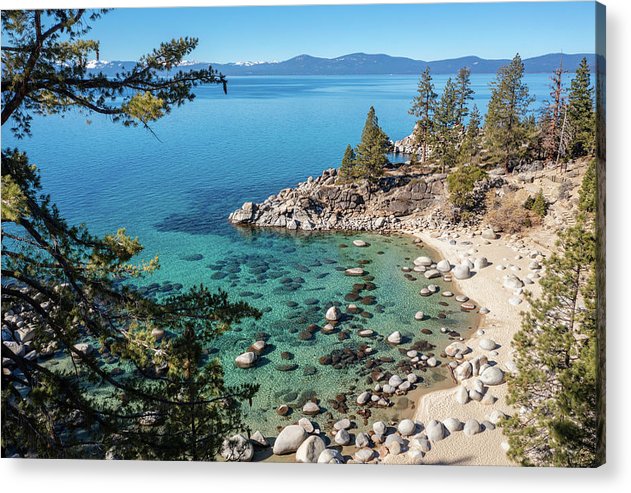 Secret Cove Sugarpine - Acrylic Print
