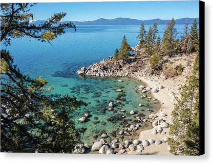 Secret Cove Sugarpine - Canvas Print