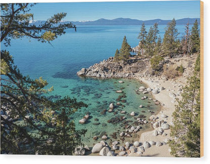 Secret Cove Sugarpine - Wood Print