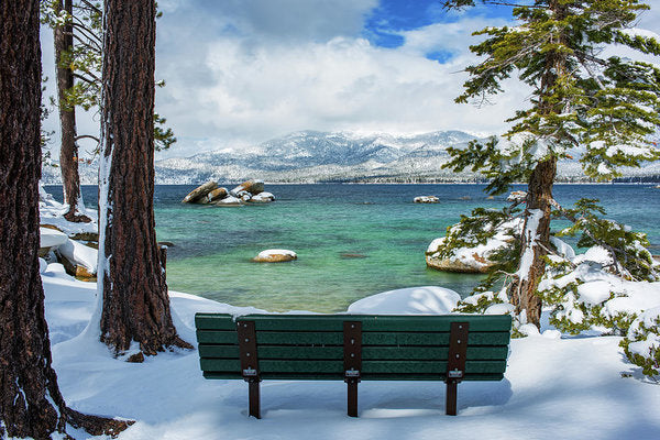 Sit And Relax By Brad Scott - Art Print