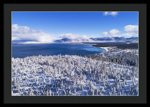 30.000" x 19.875" / Black / Black