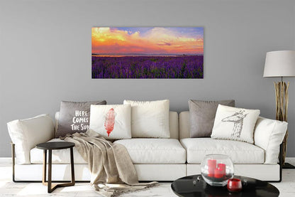 Tahoe City Lupine Sunset By Brad Scott - Metal Print