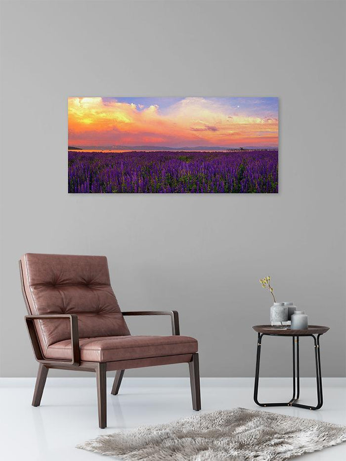 Tahoe City Lupine Sunset By Brad Scott - Metal Print