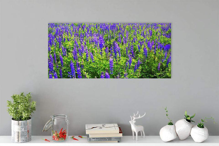 Windy Lupines By Brad Scott - Acrylic Print